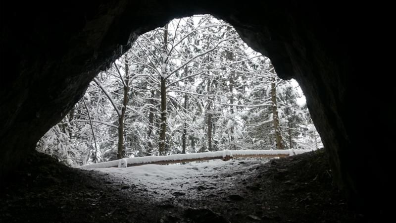 Отели типа «постель и завтрак» Astoria - Willa Literatów Закопане-16